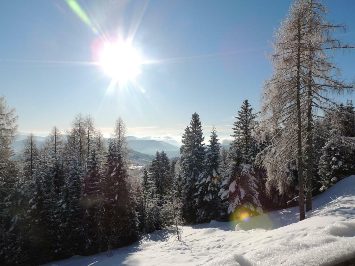 Villa-Alpenblick Hochrindl Exterior foto